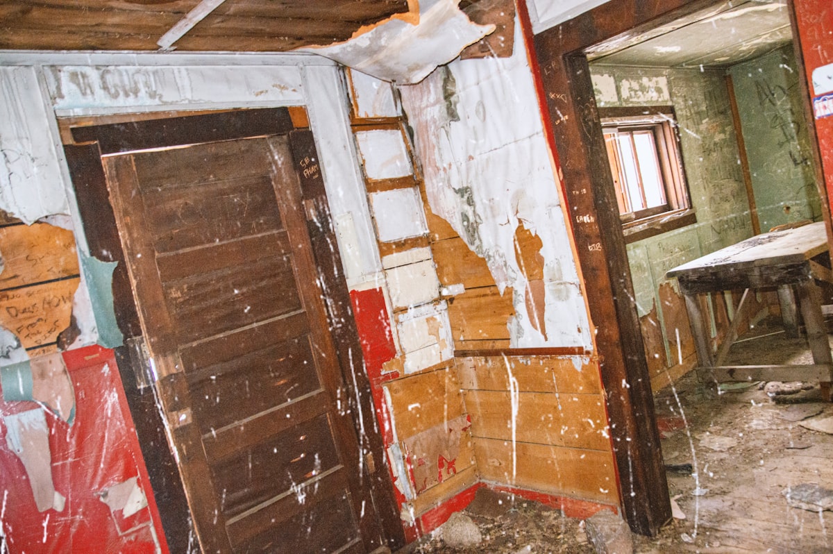Mold Remediation service in Parkersburg, WV