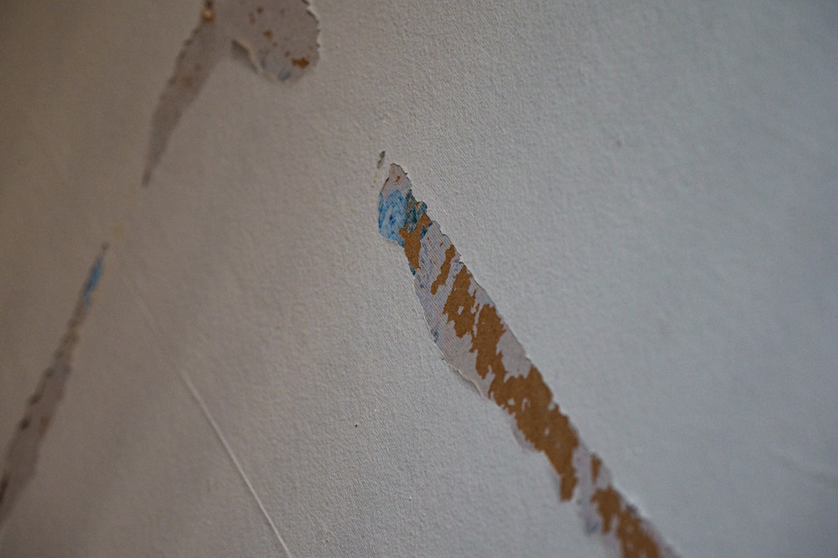 Water Extraction service in Parkersburg, WV